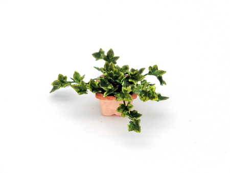 Handmade 1/12th/ 1 inch scale dollshouse English Ivy - Click Image to Close